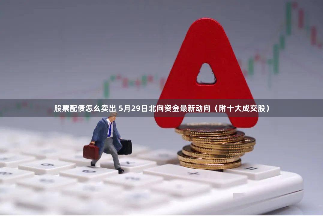 股票配债怎么卖出 5月29日北向资金最新动向（附十大成交股）