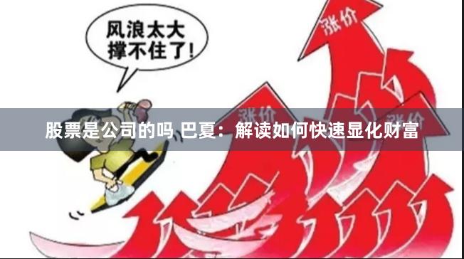 股票是公司的吗 巴夏：解读如何快速显化财富